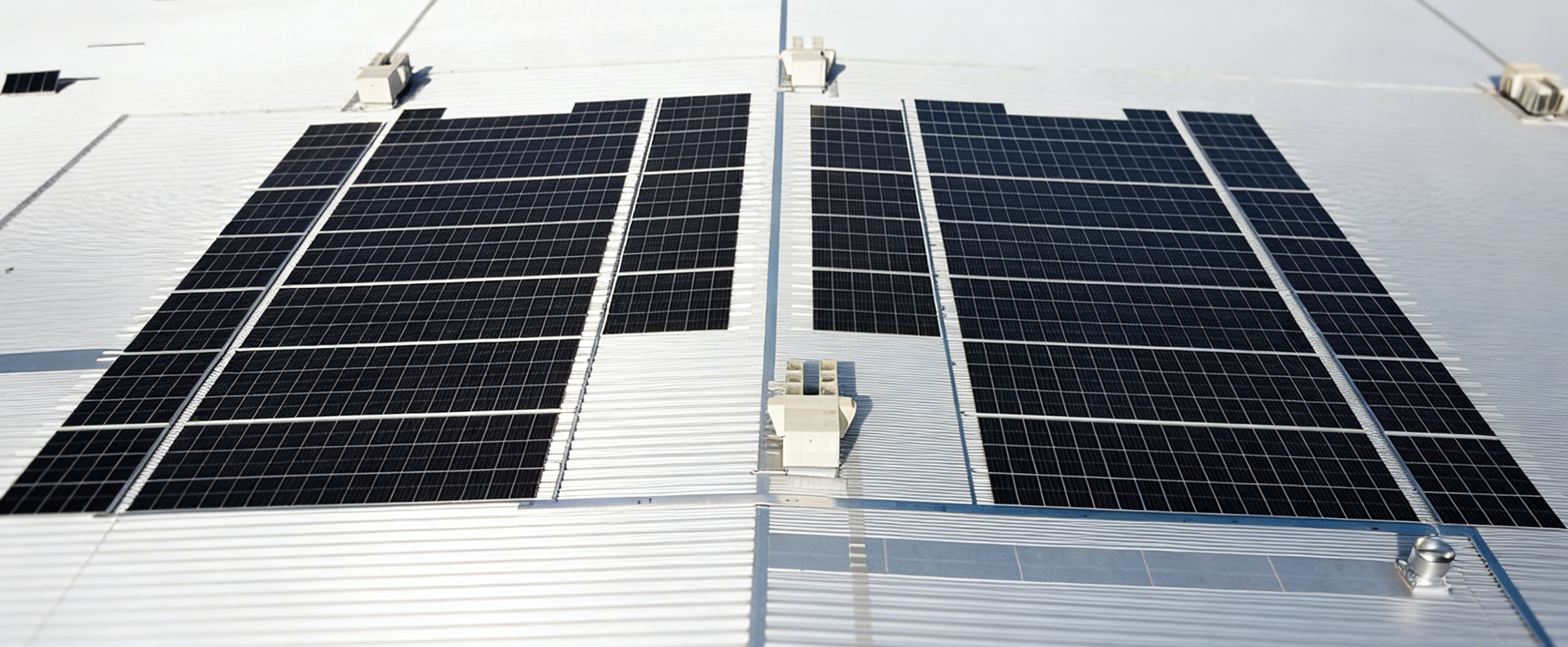 <ترجمة الامتداد=