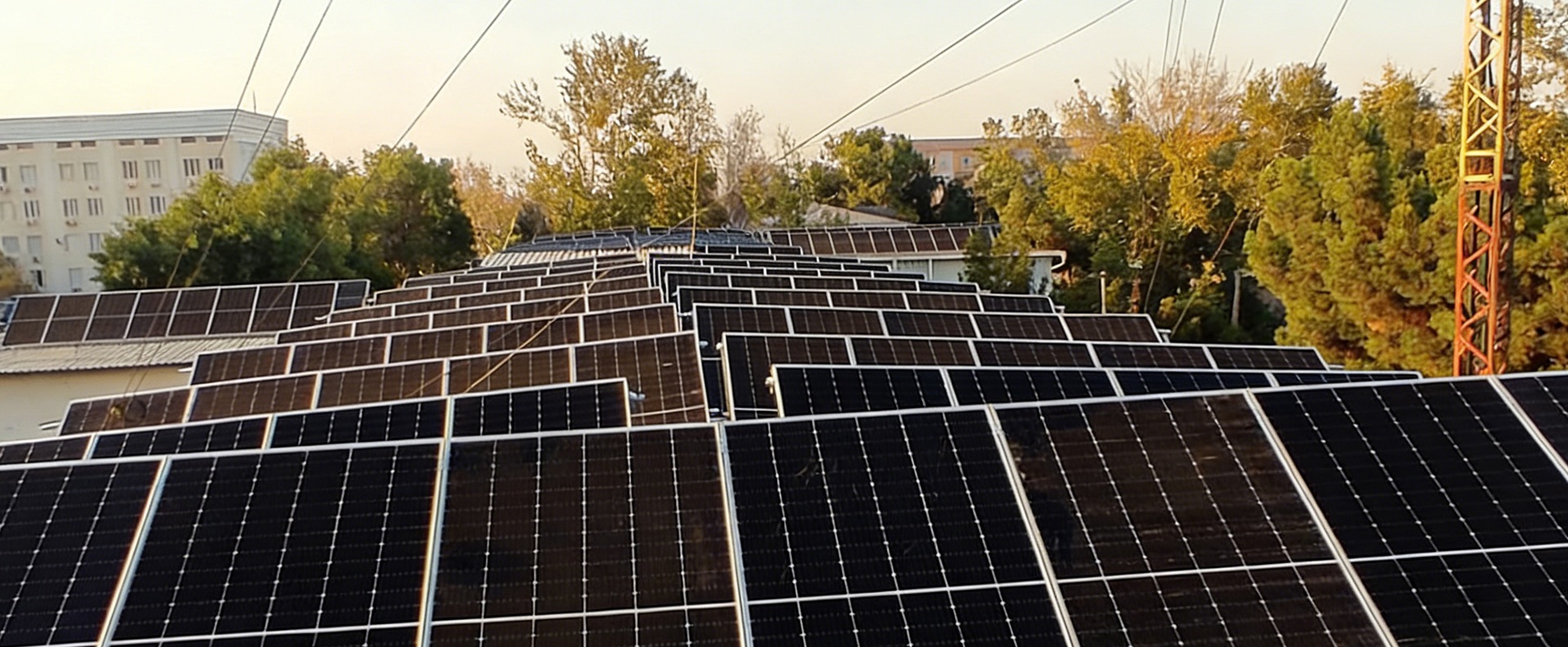 <ترجمة الامتداد=