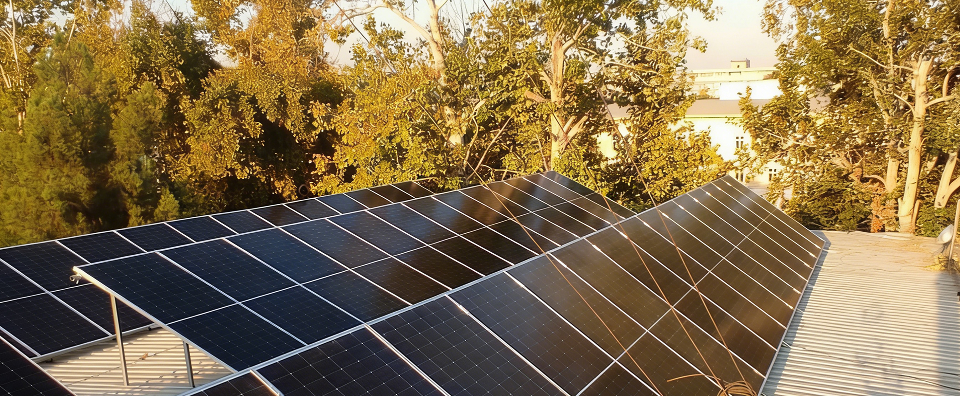 <ترجمة الامتداد=