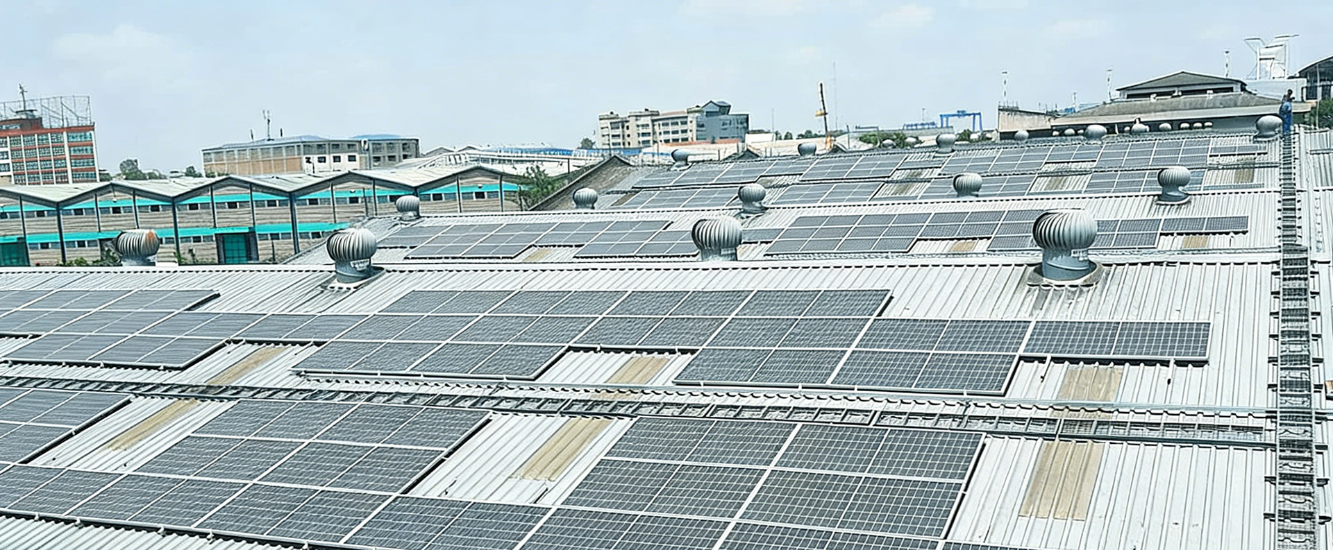 <ترجمة الامتداد=