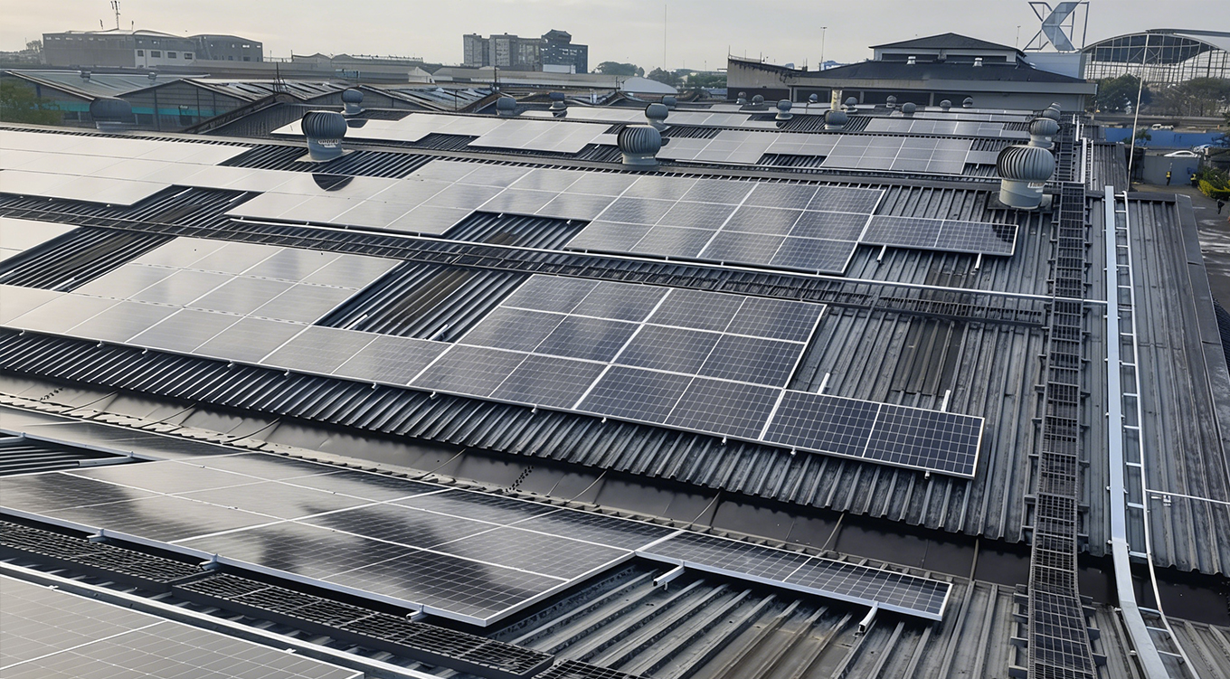 <ترجمة الامتداد=