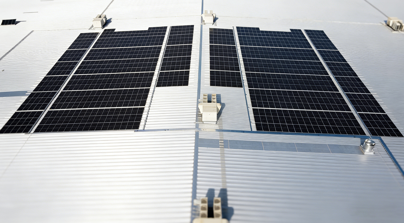 <ترجمة الامتداد=