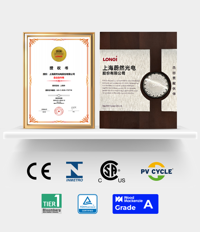 الشهادة العالمية